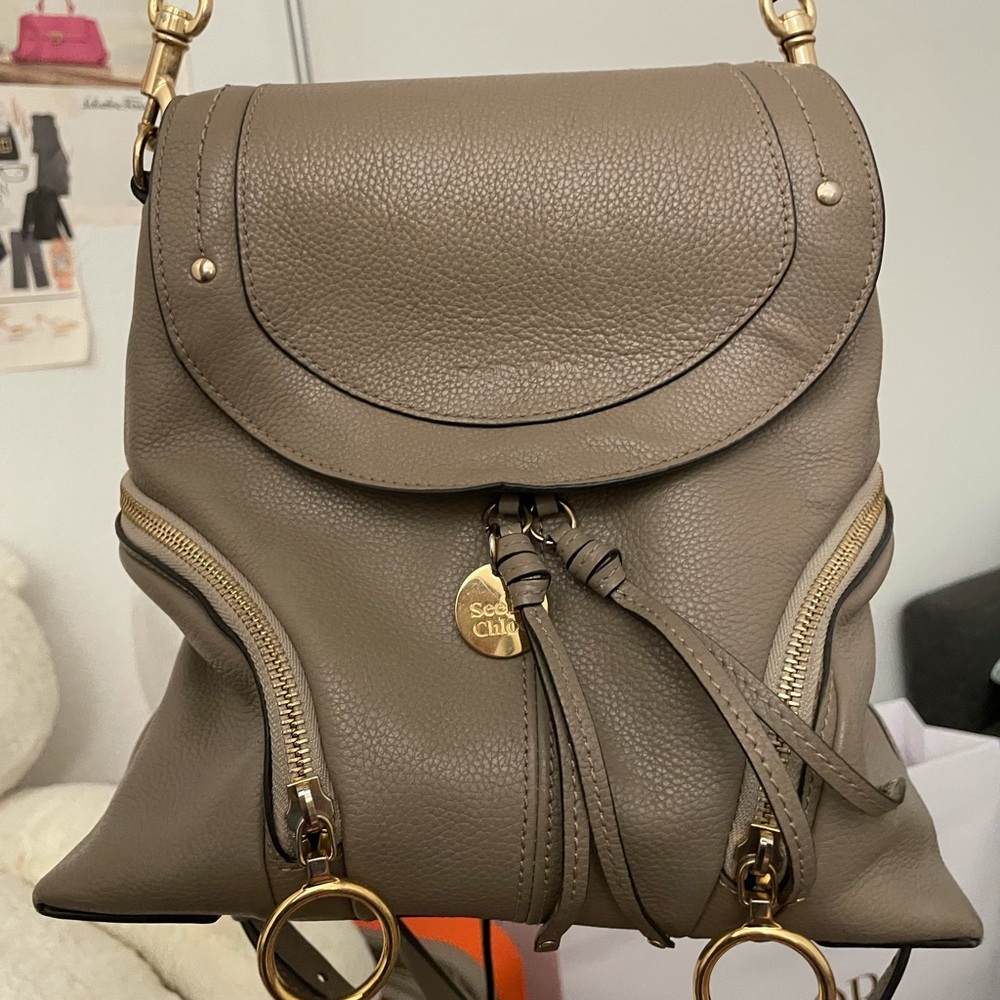See by Chloe bag